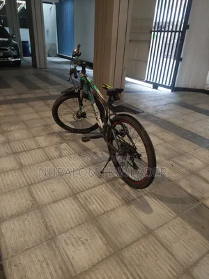 Geared Bicycle