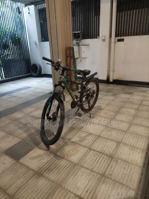 Geared Bicycle