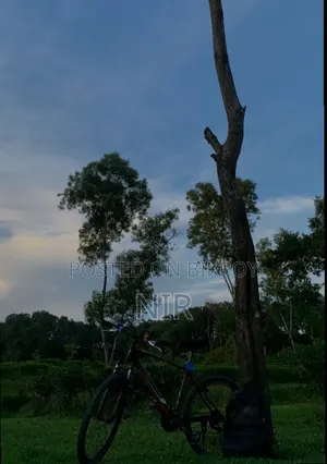 ভেলোসি গিয়ার সাইকেল। রাইডের জন্য ভালো হবে