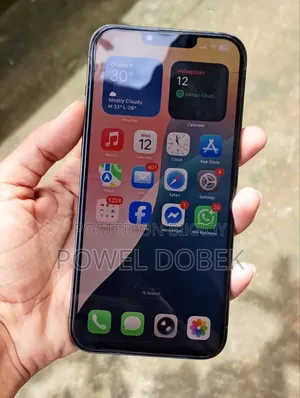 Apple iPhone 13 Pro Max 256 GB Green