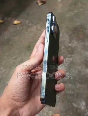 Apple iPhone 13 Pro Max 256 GB Green