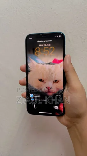 অ্যাপল আইফোন ১২ ২৫৬ জিবি ব্লু