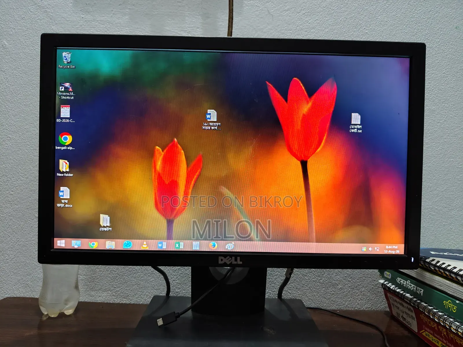 Dell 19" Monitor