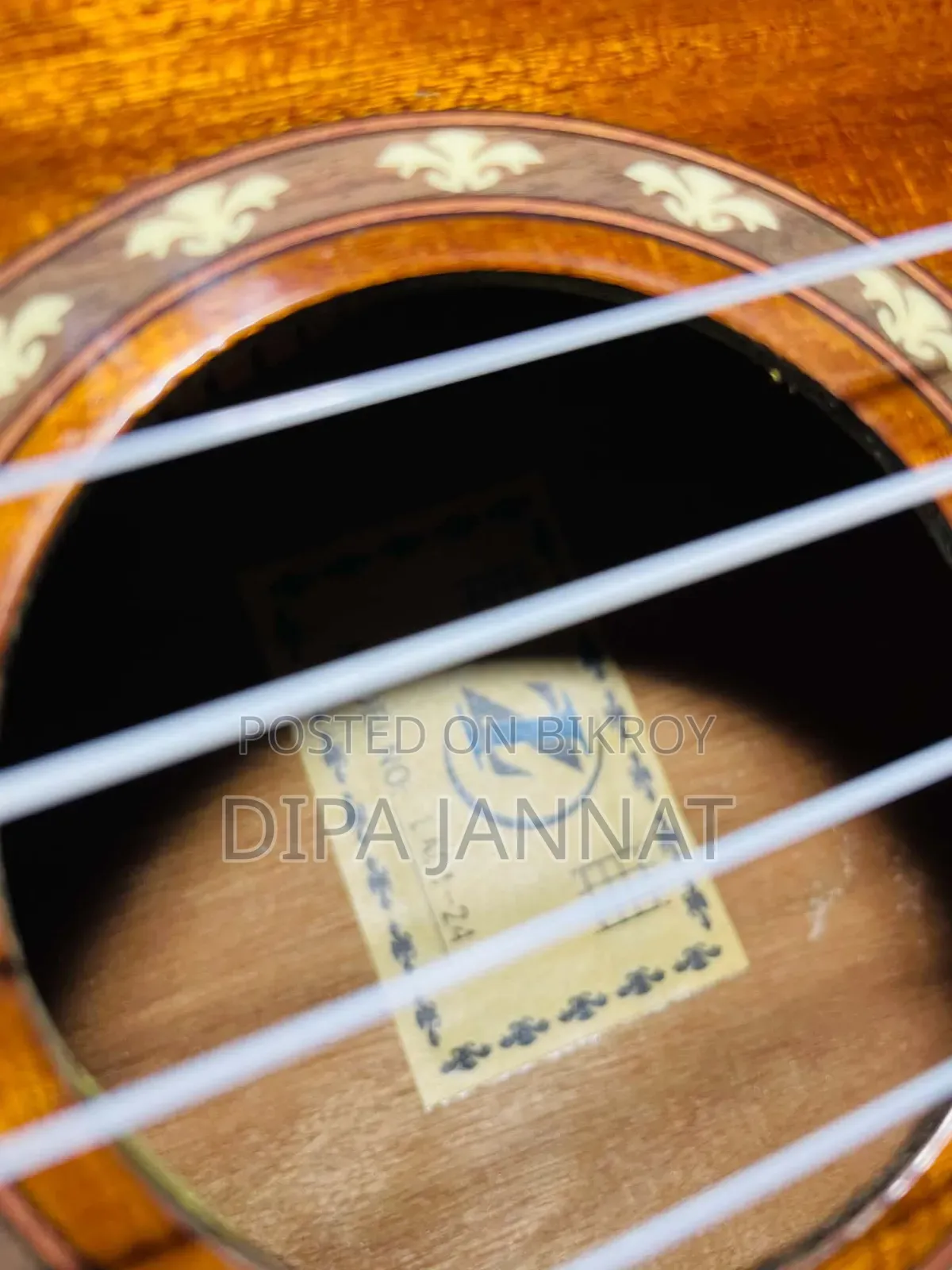 ব্র্যান্ড নিউ অ্যাকৌস্টিক জি-ইউকুলিলি