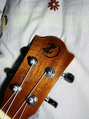 ব্র্যান্ড নিউ অ্যাকৌস্টিক জি-ইউকুলিলি