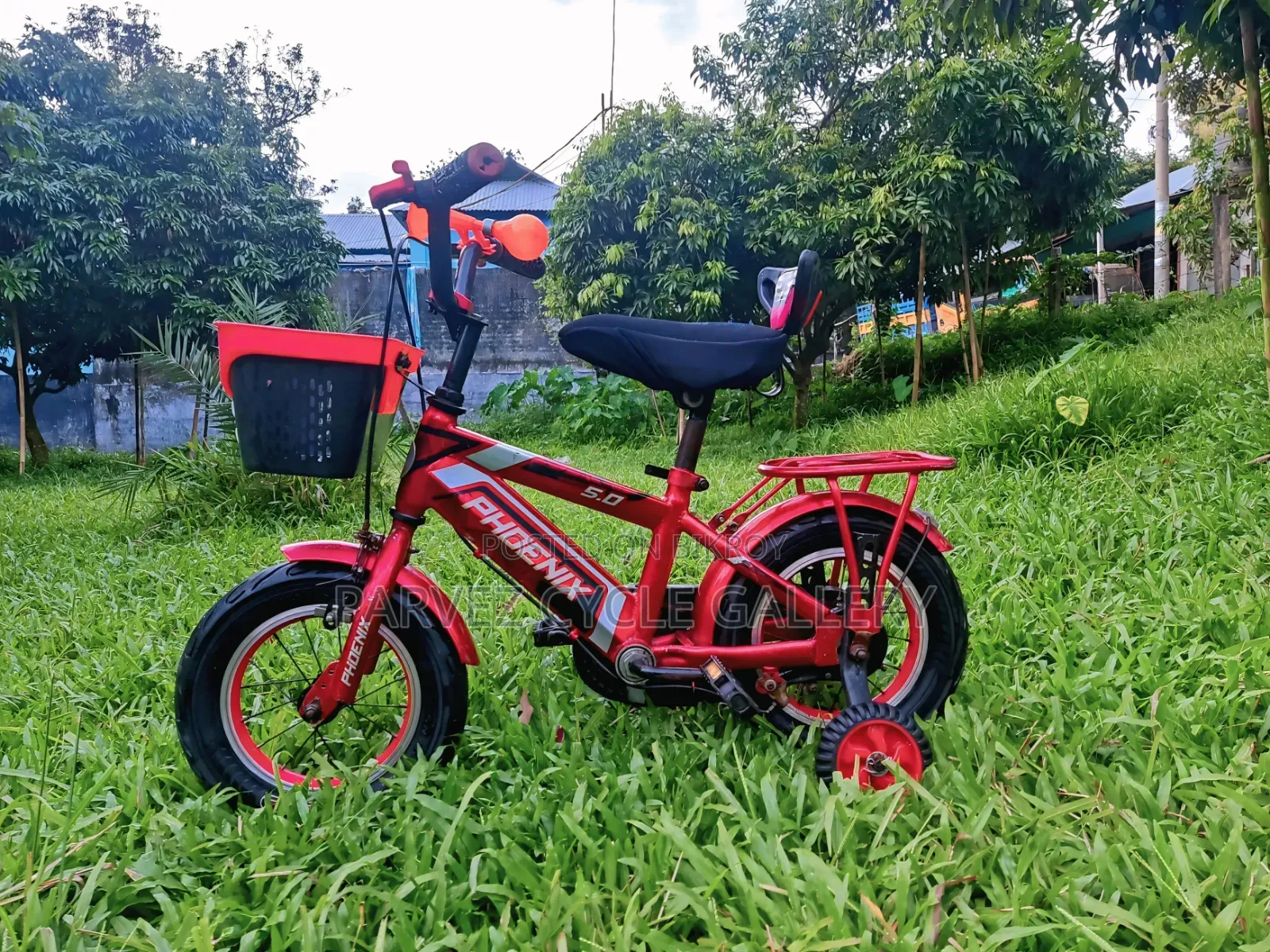 ✅ Phoenix 12" Full Serviced Kids Cycle – Best Gift Ever