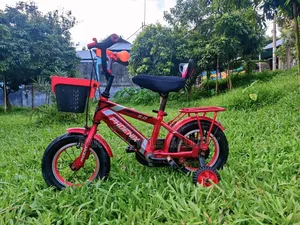 ✅ Phoenix 12" Full Serviced Kids Cycle – Best Gift Ever
