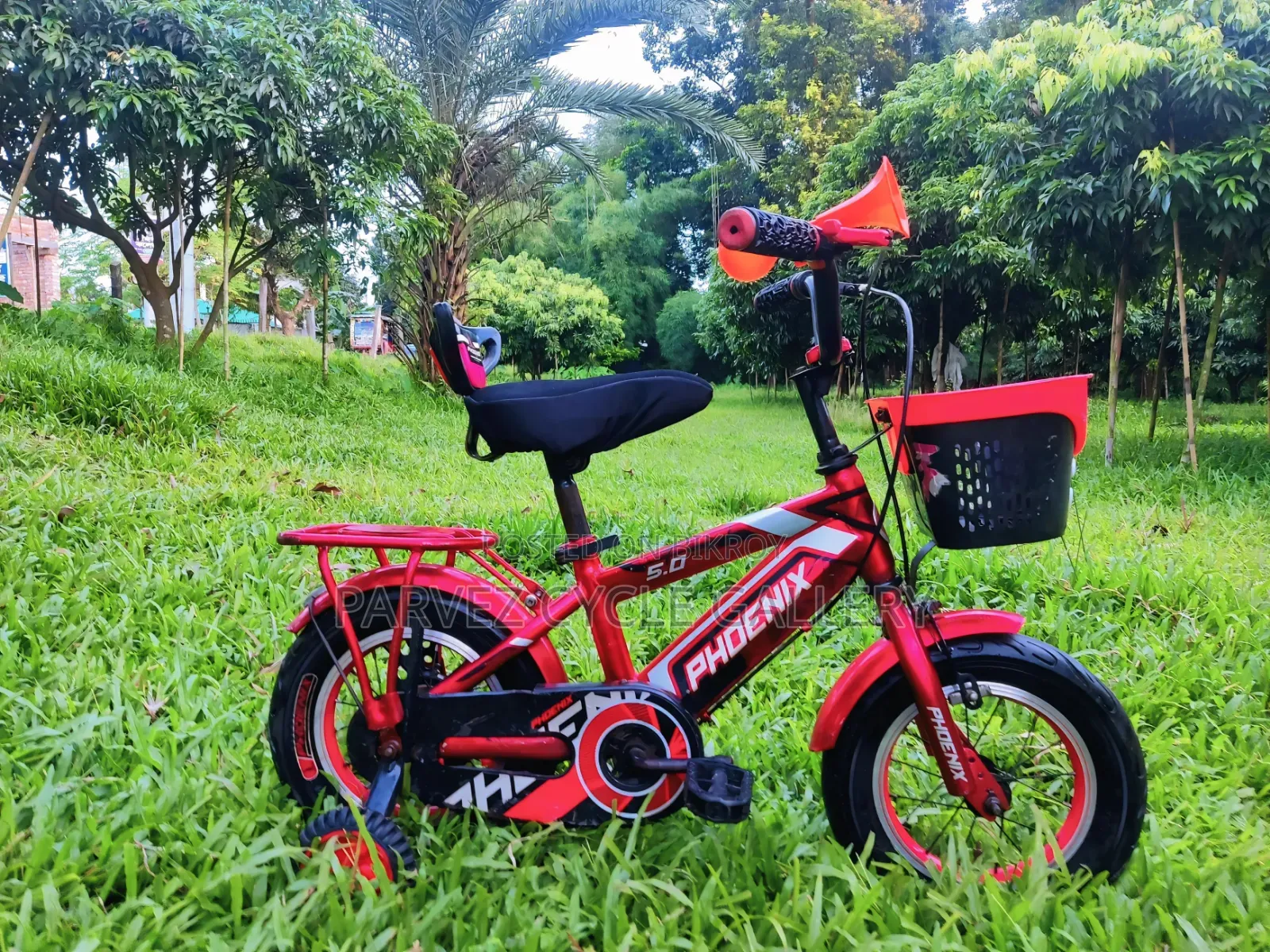 ✅ Phoenix 12" Full Serviced Kids Cycle – Best Gift Ever