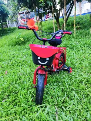 ✅ Phoenix 12" Full Serviced Kids Cycle – Best Gift Ever