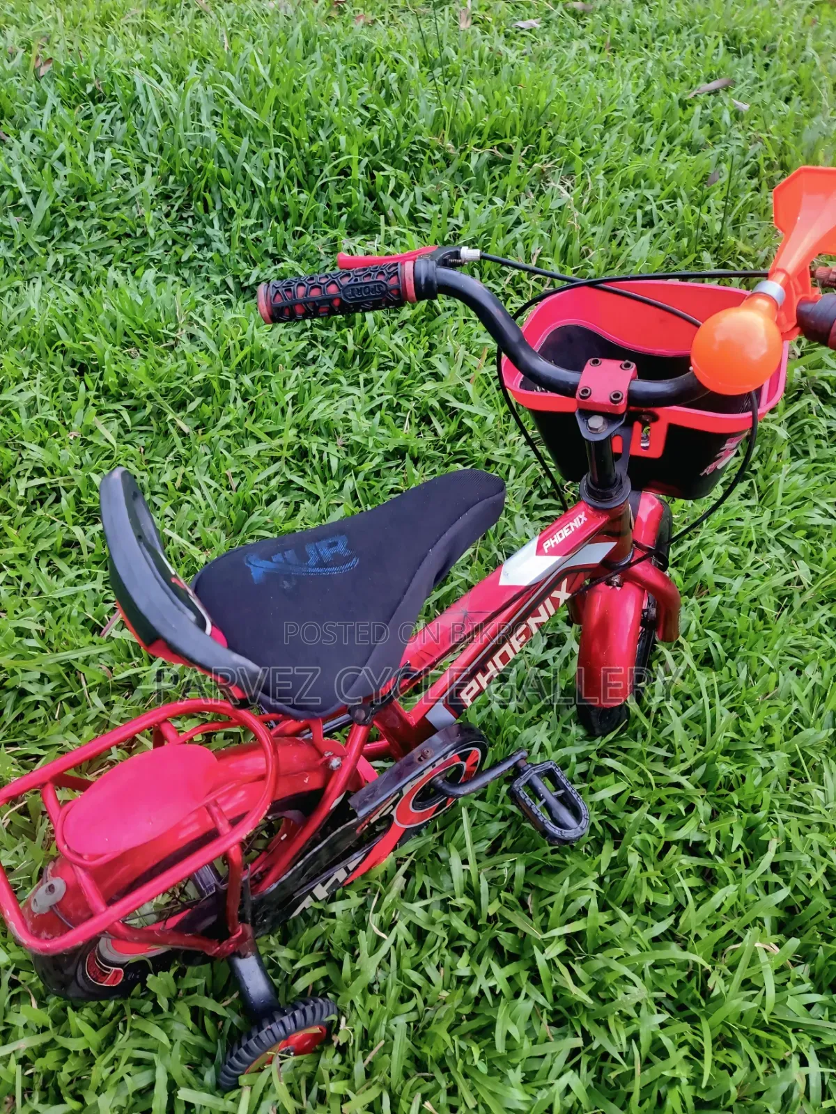 ✅ Phoenix 12" Full Serviced Kids Cycle – Best Gift Ever