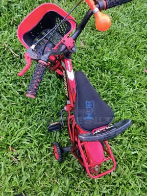 ✅ Phoenix 12" Full Serviced Kids Cycle – Best Gift Ever