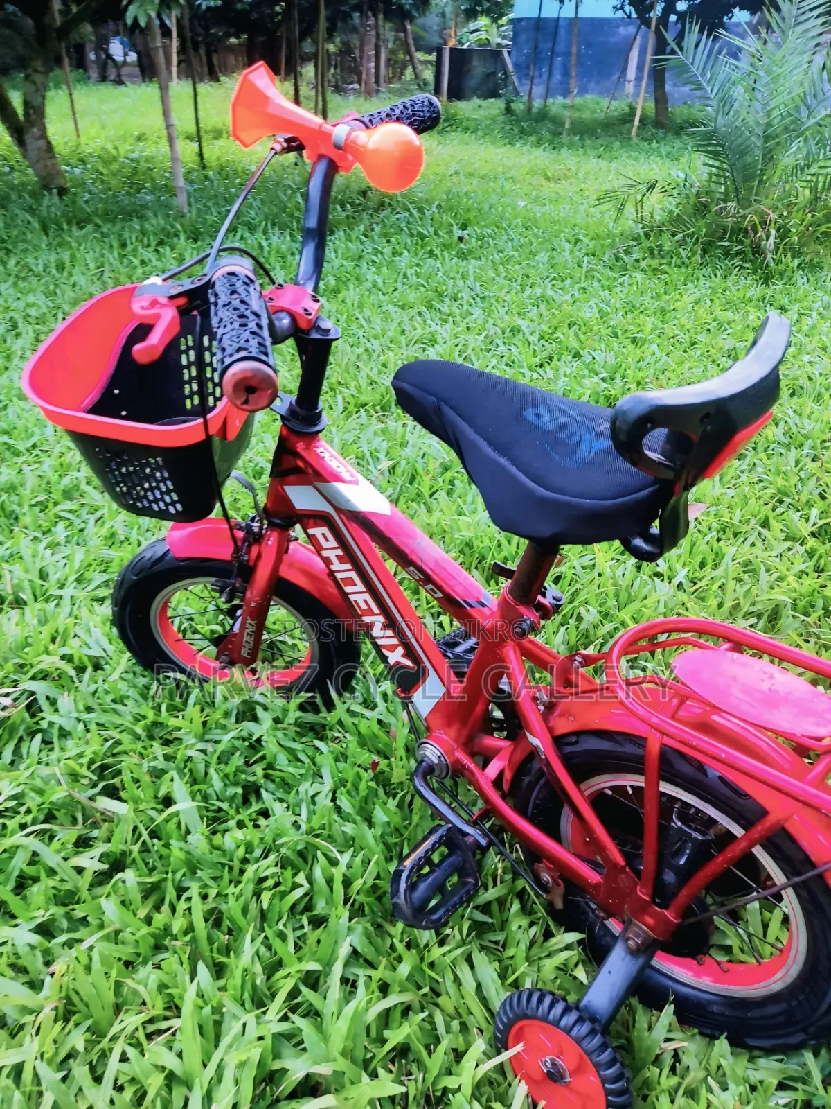 ✅ Phoenix 12" Full Serviced Kids Cycle – Best Gift Ever