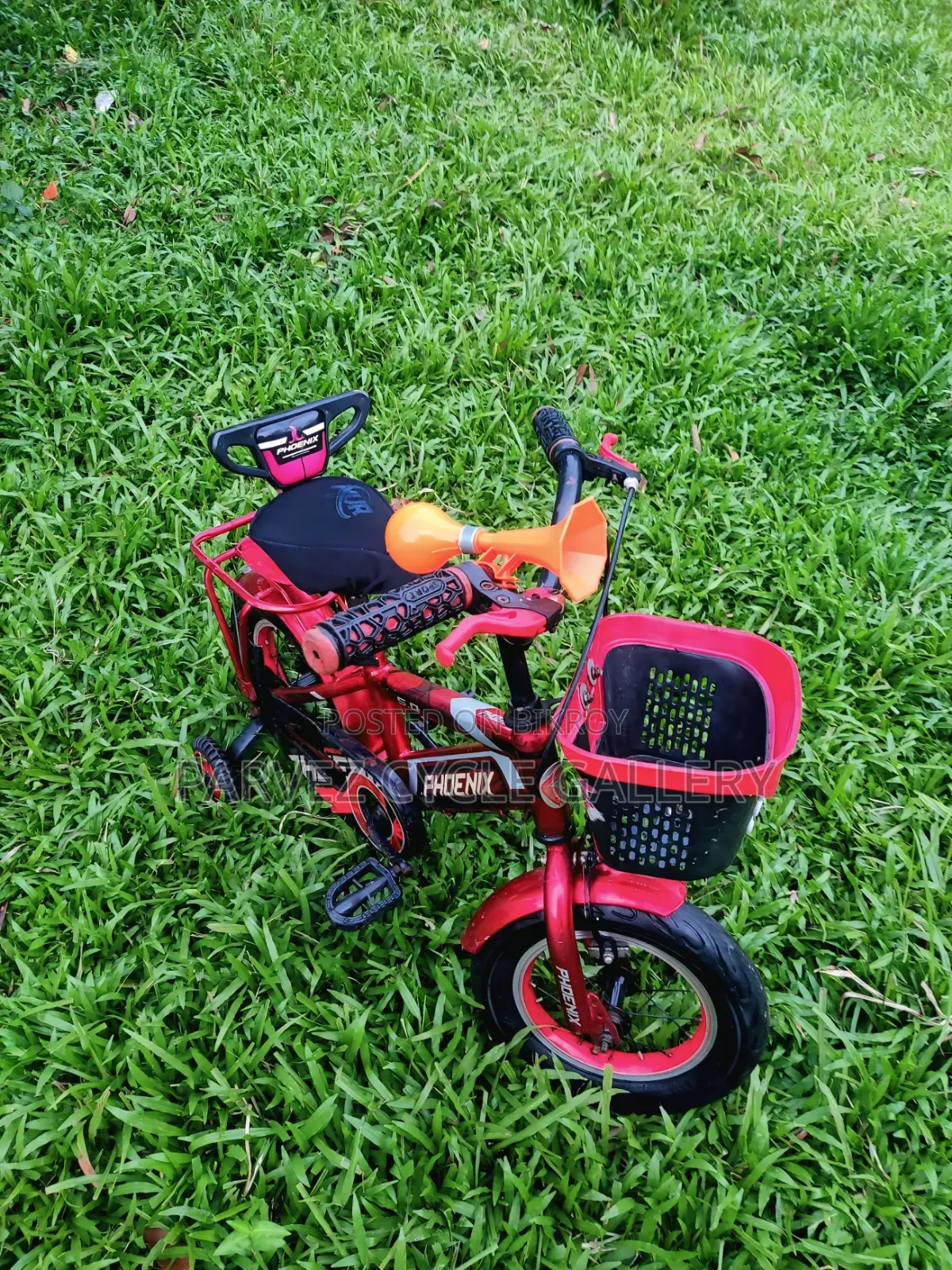✅ Phoenix 12" Full Serviced Kids Cycle – Best Gift Ever