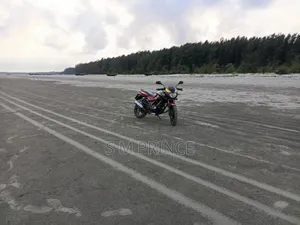 নিউ বাজাজ পালসার ১৫০ ২০১০ রেড