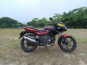 New Bajaj Pulsar 150 2010 Red