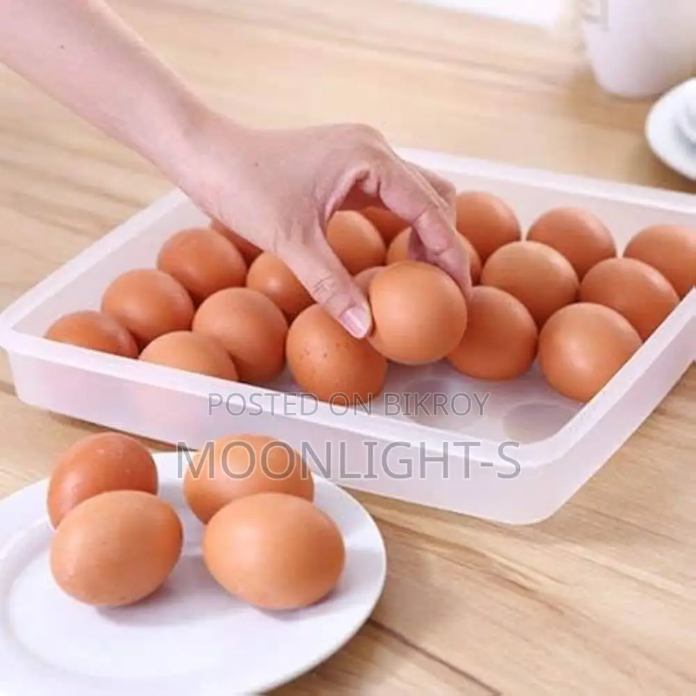 20 Grid Egg Box