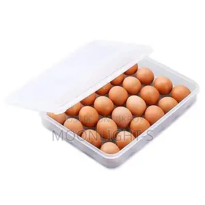 20 Grid Egg Box