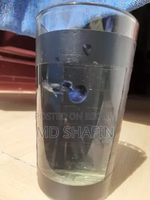 পারপেল ড্রাগন গাপ্পি
