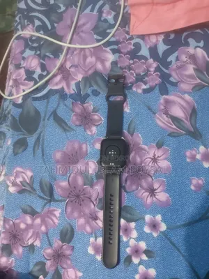 হেইলু ওয়াচ ২ প্রো