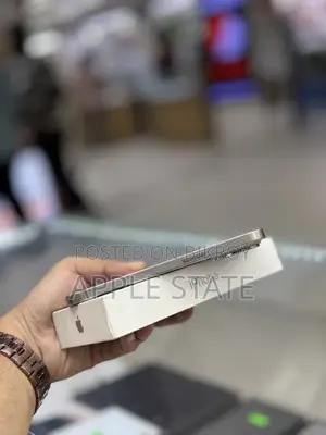 Apple iPhone 15 Pro Max 256 GB Gray