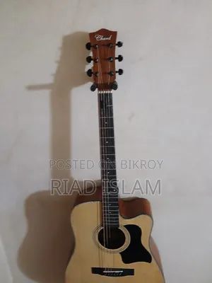 Acoustic Guitar Chard F-4150c