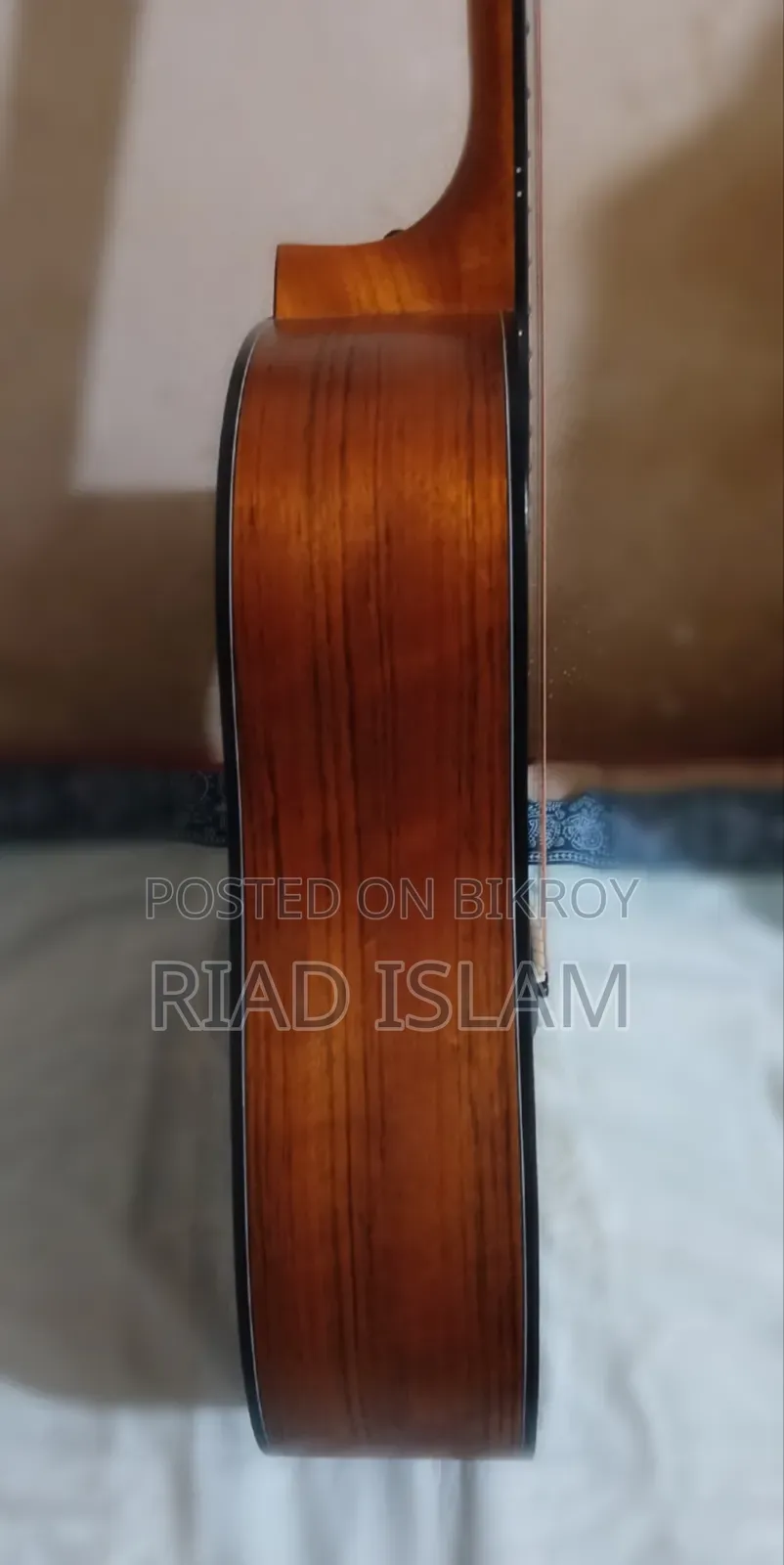 Acoustic Guitar Chard F-4150c