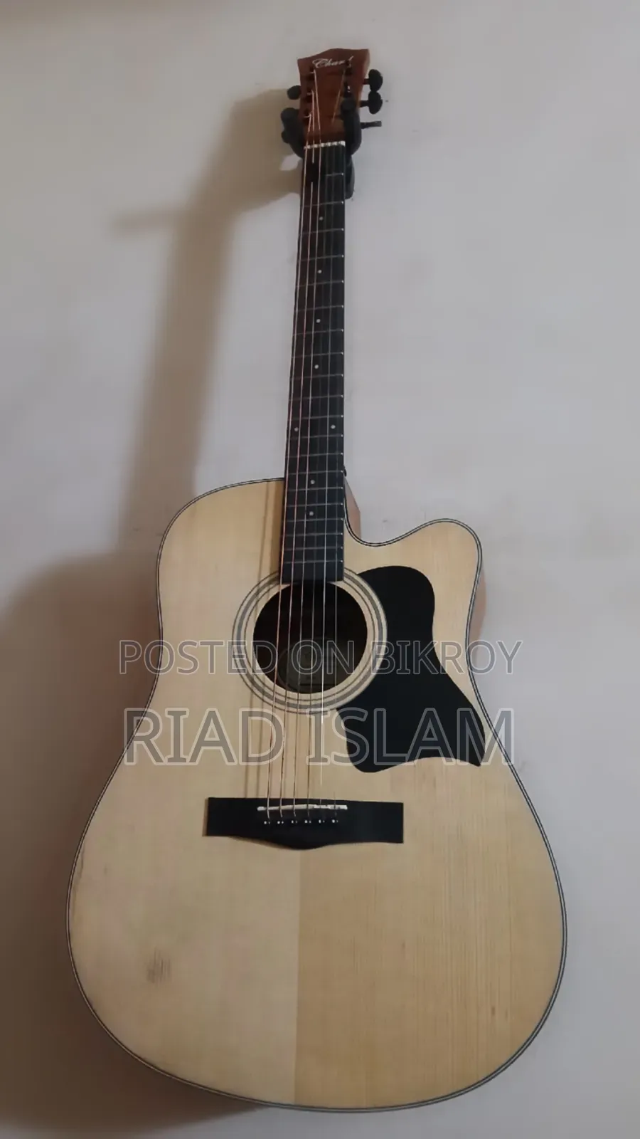 Acoustic Guitar Chard F-4150c