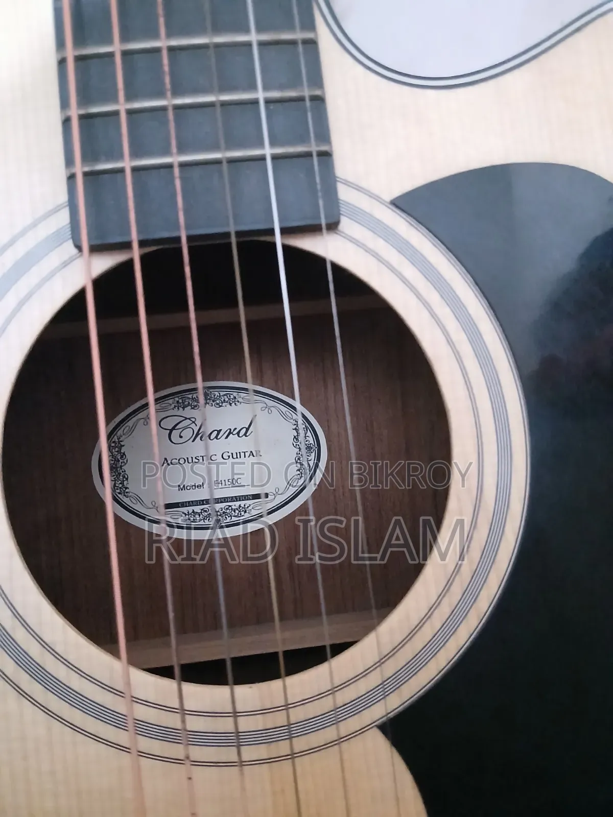 Acoustic Guitar Chard F-4150c