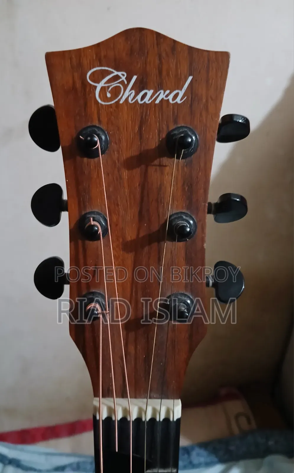 Acoustic Guitar Chard F-4150c