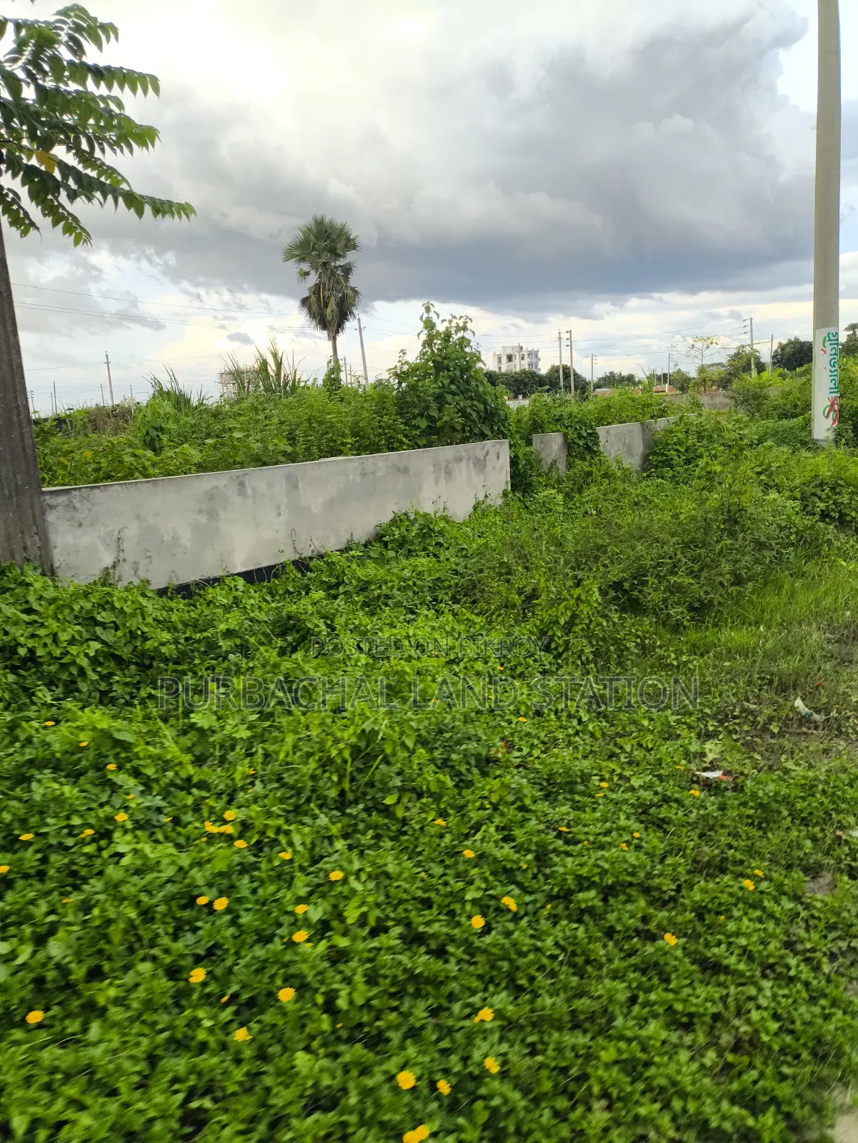 Near 100 Ft Road 5 Katha Plot Sale in Sector:23,Purbachal