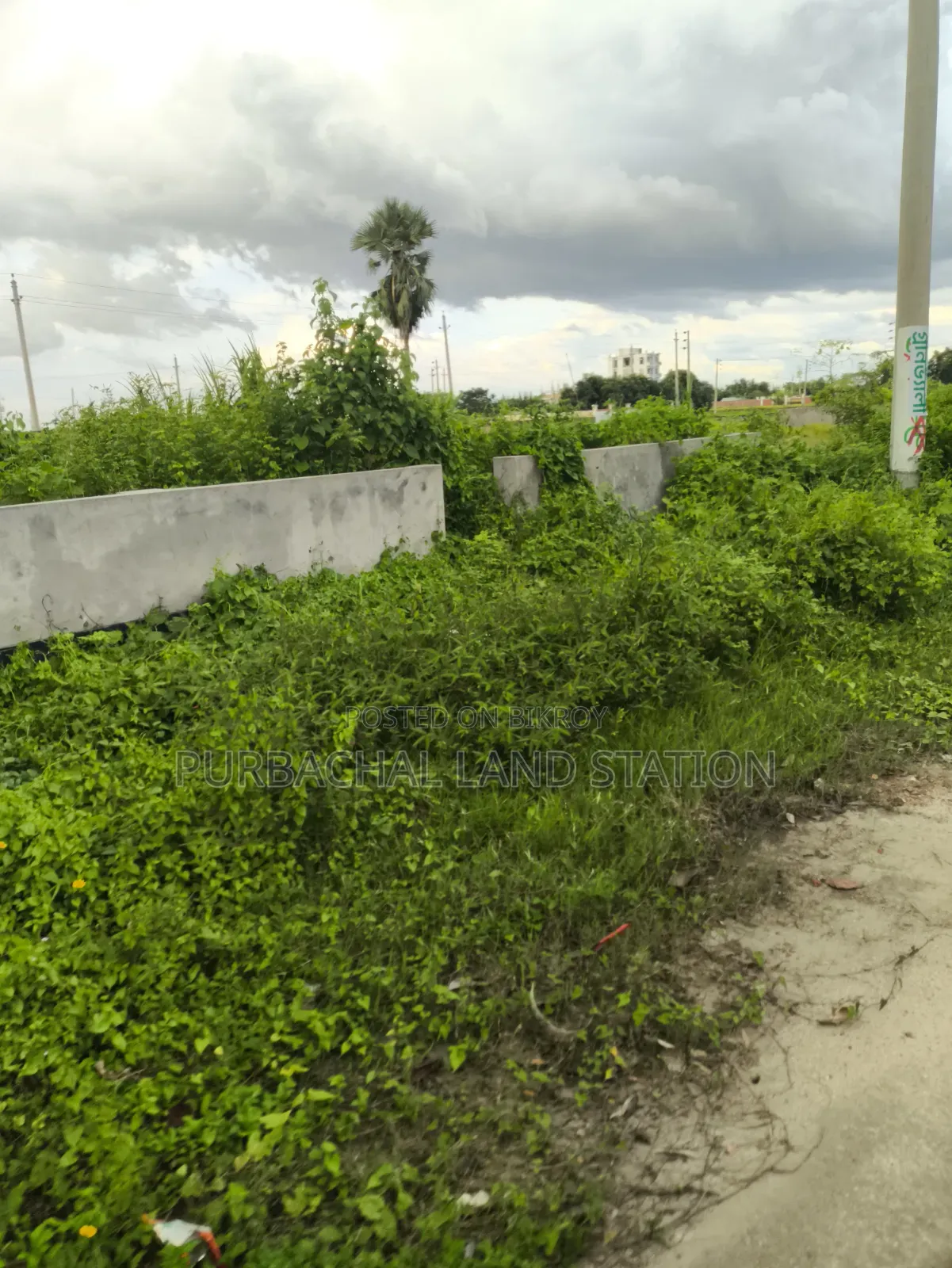 Near 100 Ft Road 5 Katha Plot Sale in Sector:23,Purbachal