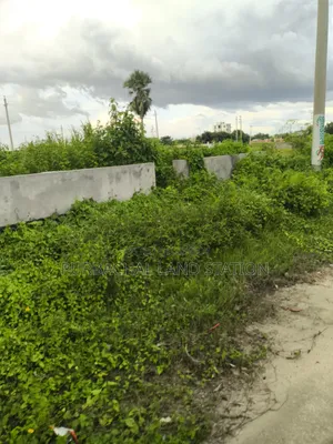 Near 100 Ft Road 5 Katha Plot Sale in Sector:23,Purbachal