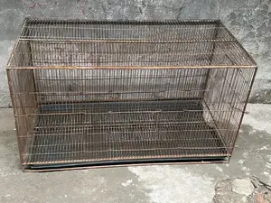 কোকাটেল লাবাট বাজিগার সব পাখি পালার খাচা