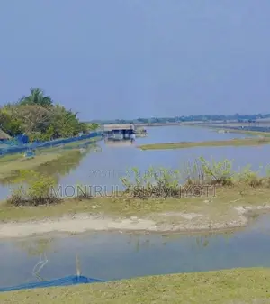 কৃষি জমি বিক্রয়