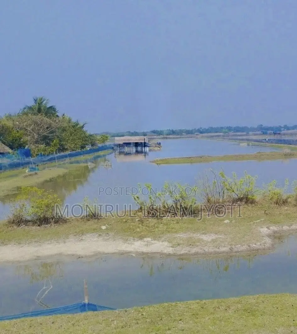 কৃষি জমি বিক্রয়