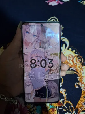 Xiaomi Redmi Note 13 Pro+ 256 GB Gray