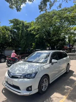 Toyota Corolla Fielder 2013 Pearl