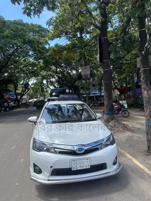Toyota Corolla Fielder 2013 Pearl