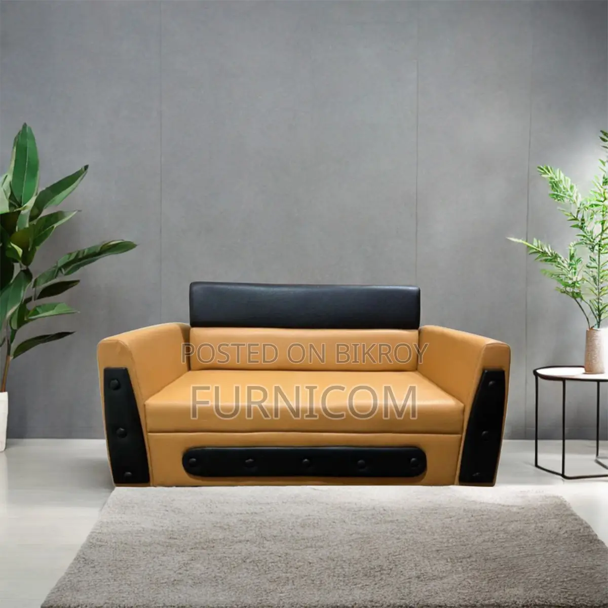 Two Seater Family Sofa Set - Brown Color