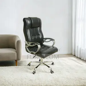 Chair/Office Chair/Boss Chair/Director Chair/Home Office