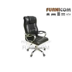 Chair/Office Chair/Boss Chair/Director Chair/Home Office