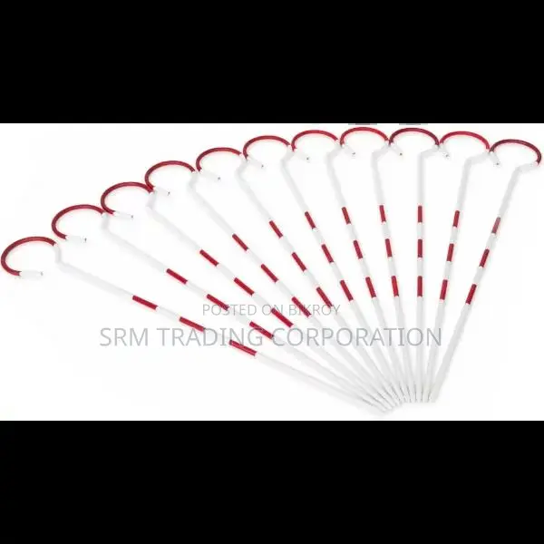 14" Survey Arrows Pin Set