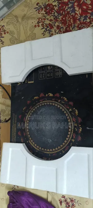 Electric Stove Vision