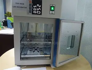 Ningo DNP-9018 Electrothermal Digital Incubator