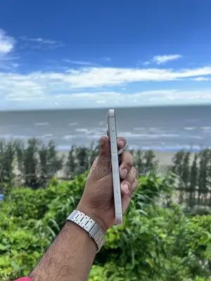 Apple iPhone 17 Pro Max 256 GB Silver