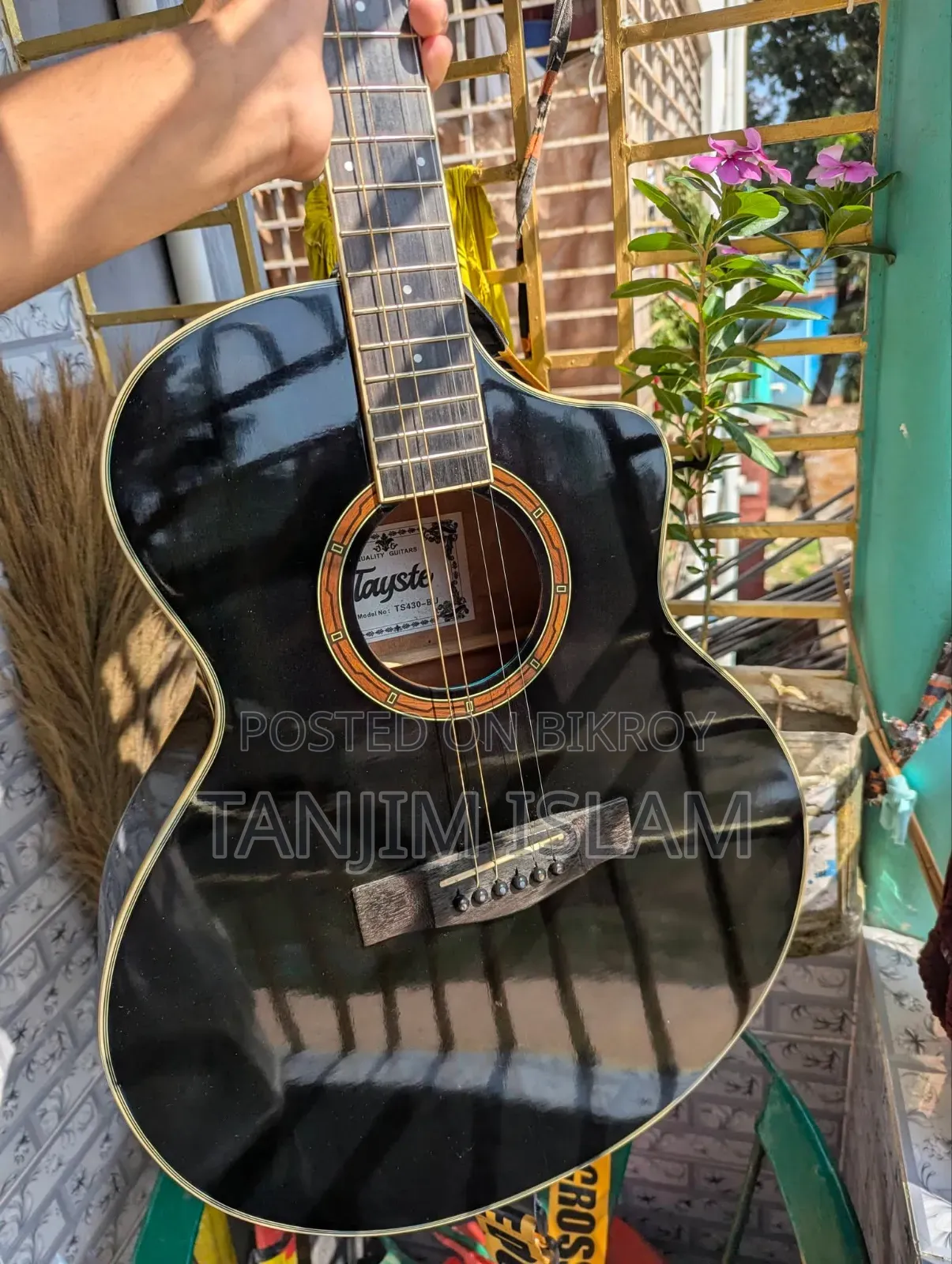 Acoustic Guitar
