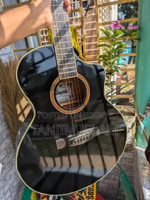 Acoustic Guitar