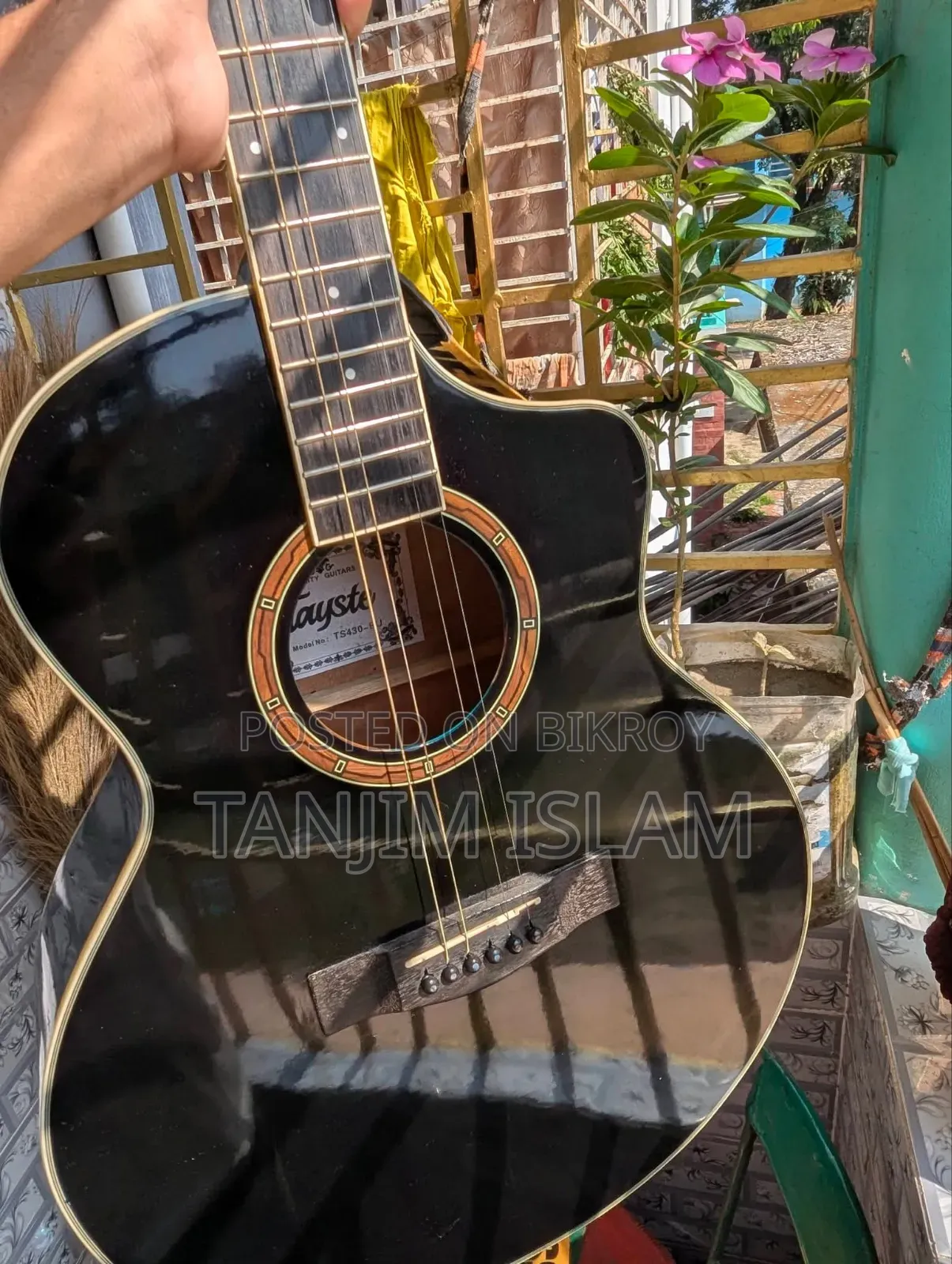 Acoustic Guitar