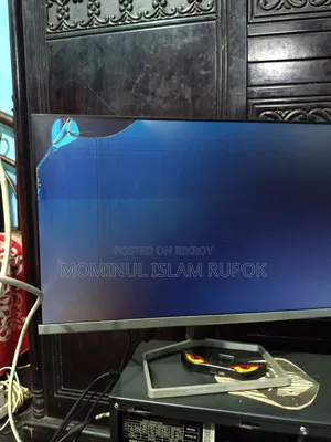 HP Monitor