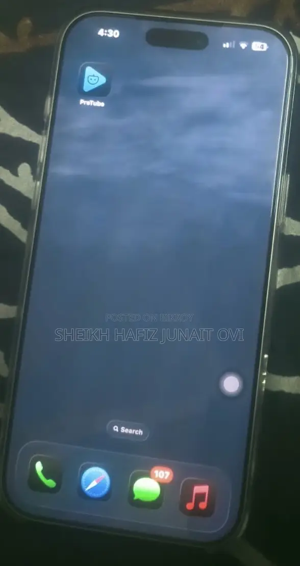 অ্যাপল আইফোন ১৭ প্রো ম্যাক্স ২৫৬ জিবি সিলভার